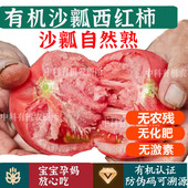 有机沙瓤西红柿 普罗旺斯番茄健康无农残孕妇宝宝蔬菜 送货到家