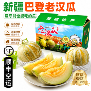 新疆老汉瓜【顺丰到家】吐鲁番哈密瓜无农残软糯多汁老人宝宝水果
