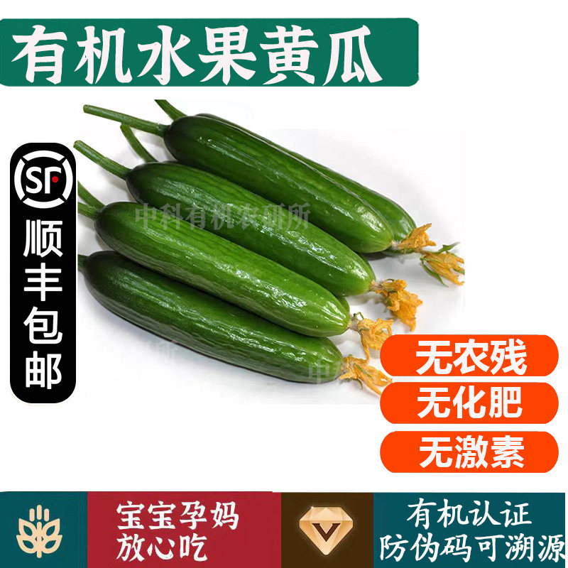 有机水果黄瓜【顺丰】云南高原露天当季孕妇儿童水果蔬菜