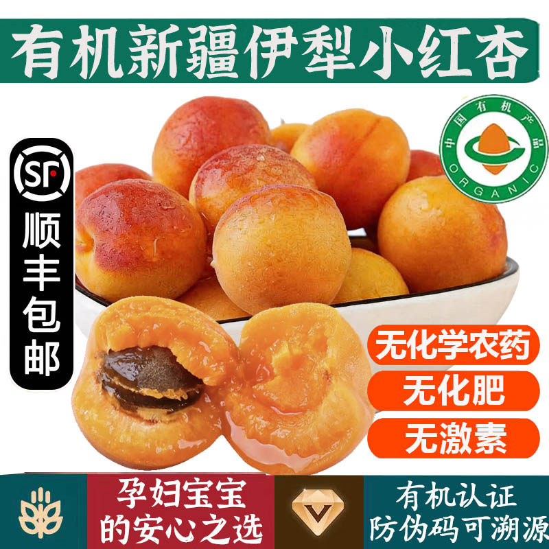 有机小红杏【顺丰空运】新疆伊犁吊干杏子香蜜杏现摘孕妇宝宝水果
