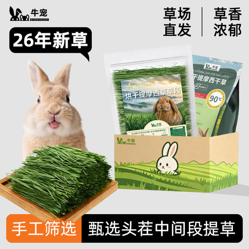 多叶提摩西草烘干荷兰猪牛宠北提