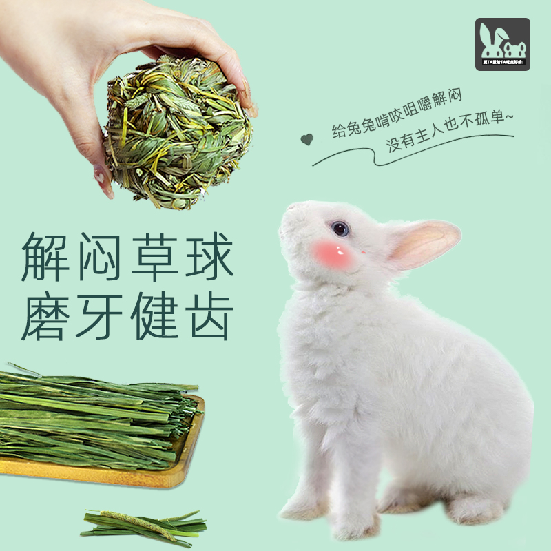 兔子荷兰猪龙猫磨牙玩具牛宠