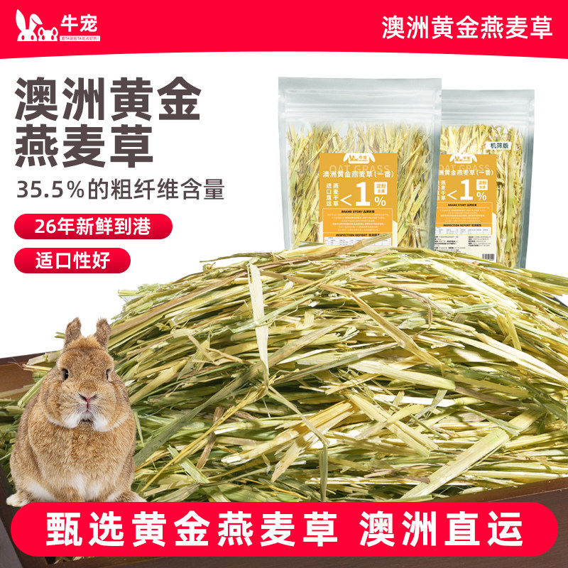 牛宠高复购澳洲进口番黄金燕麦草图片