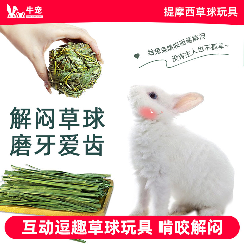 兔子玩具解闷龙猫荷兰猪豚鼠耐咬啃草球提摩西草磨牙零食宠物用品