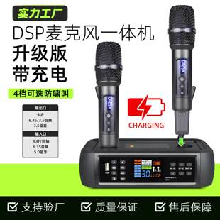 朗声D80万能带DSP防啸叫混响蓝牙无线麦克风话筒唱歌家用娱乐ktv