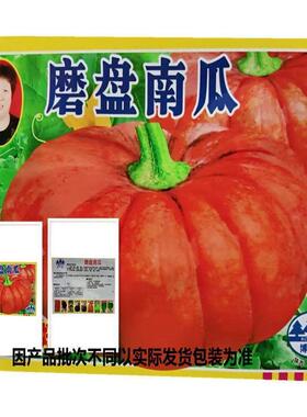 磨盘大南瓜种子加粗大红新鲜南瓜种可留种籽农用可吃南瓜蔬菜种子