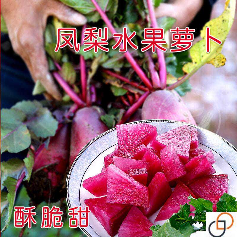 凤梨水果萝卜种籽 红肉红皮种子紫色四季秋季甜农家沙拉蔬菜孑