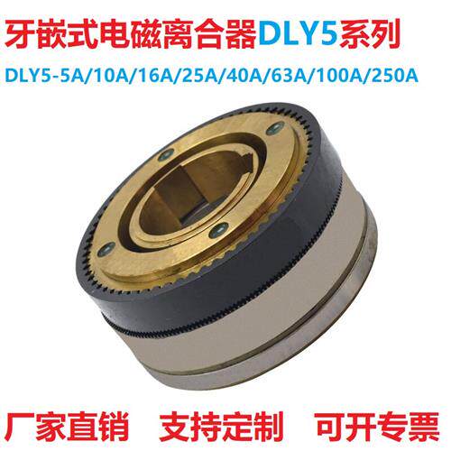 牙嵌式多片电磁离合器湿式24V大扭矩DLY5-5A10A16A40A63A100A400A