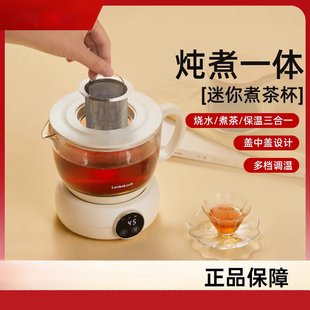 乐扣乐扣养生壶家用玻璃煮茶壶办公室小型一人用电炖杯迷你养生杯