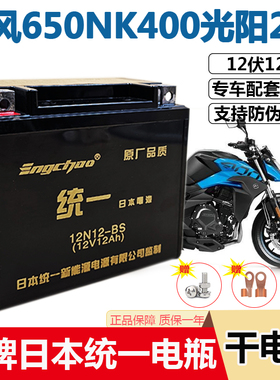 摩托车电瓶YTX12A春风650NK400光阳250赛艇300电池12V12AH蓄电池