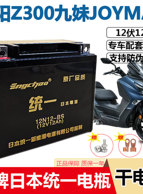 适用三阳Z300九妹电瓶JOYMAX夫RV250 RV180摩托车电瓶免维护电池