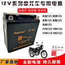 雅马哈125天剑天戟YBR JYM125摩托车统一免维护蓄电池12V5A干电瓶