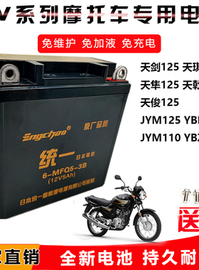 雅马哈125天剑天戟YBR/JYM125摩托车统一免维护蓄电池12V5A干电瓶