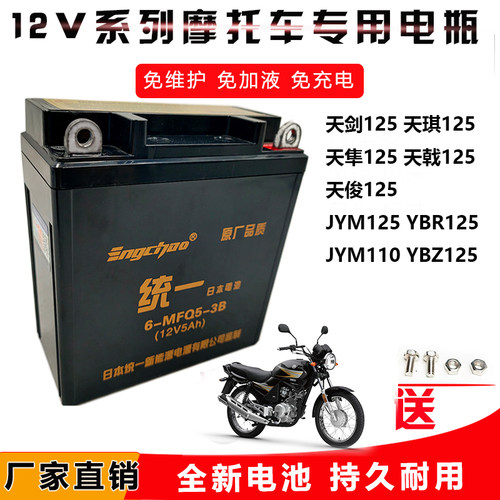 雅马哈125天剑天戟YBR/JYM125摩托车统一免维护蓄电池12V5A干电瓶