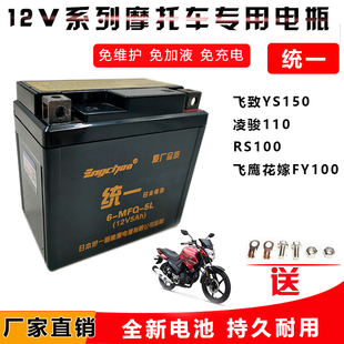 摩托车干电瓶雅马哈YS150飞致 115凌骏 RS100飞鹰花嫁FY100蓄电池