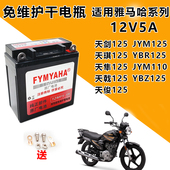 适用雅马哈系列弯梁110天剑俊女装 踏板125巧格公主100摩托车电瓶