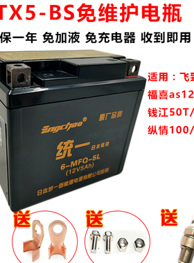 【特惠】适用五 羊本 田100巧格iWH喜悦小公主摩托车电瓶YTX5-BS