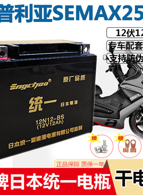 阿普利亚SRMAX250 300 SR300 SR250 SR150比亚乔X7摩托车干电瓶池
