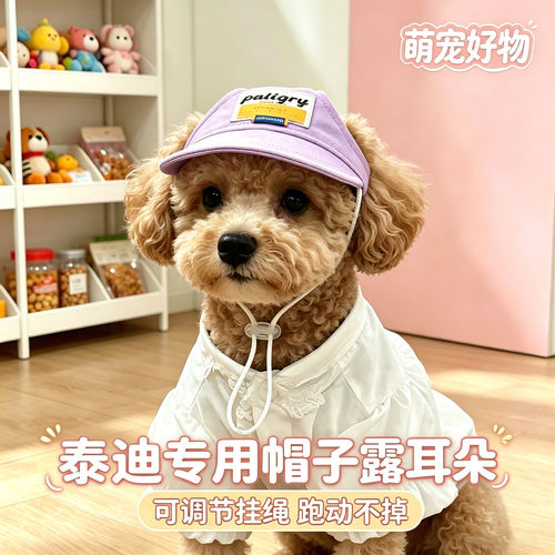 泰迪专用狗狗帽子小狗宠物狗露耳朵遮阳帽小型犬配饰防晒帽太阳帽
