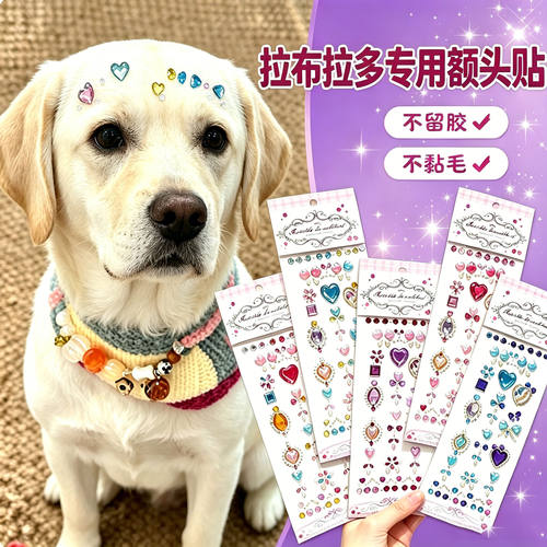 拉布拉多专用狗狗额头贴大型犬配饰狗宠物贴纸狗狗头饰头上装饰品