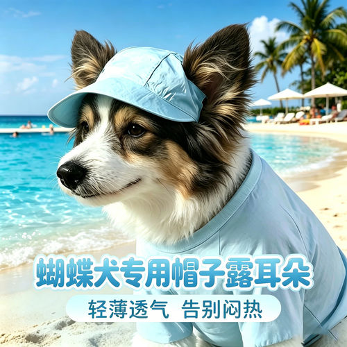 蝴蝶犬专用狗狗帽子小狗宠物狗露耳朵遮阳帽小型犬太阳帽棒球帽
