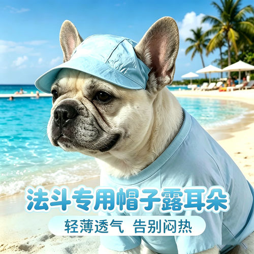 法斗犬专用狗狗帽子小狗宠物狗露耳朵遮阳帽小型犬帽太阳帽棒球帽