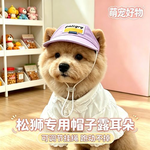 松狮犬专用幼犬狗狗帽子小狗宠物狗露耳朵遮阳帽大型犬太阳帽装扮