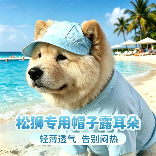 松狮犬专用狗狗帽子小狗宠物狗露耳朵遮阳帽大型犬装扮夏天太阳帽