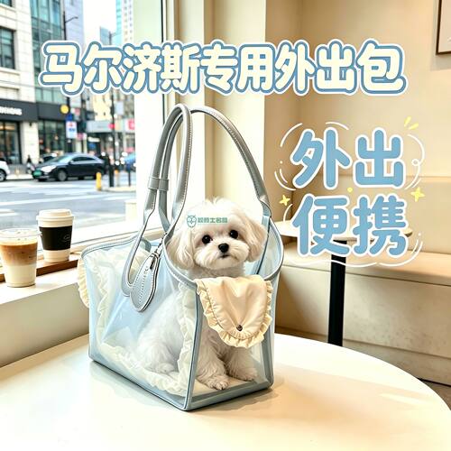 马尔济斯专用狗狗外出包狗背包宠物便携包小型犬小狗幼犬神器夏季