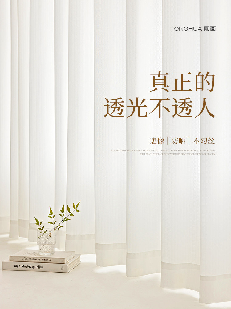客厅幻影纱窗帘纱帘透光不透人窗纱飘窗阳台防窥防猫抓2025新款白