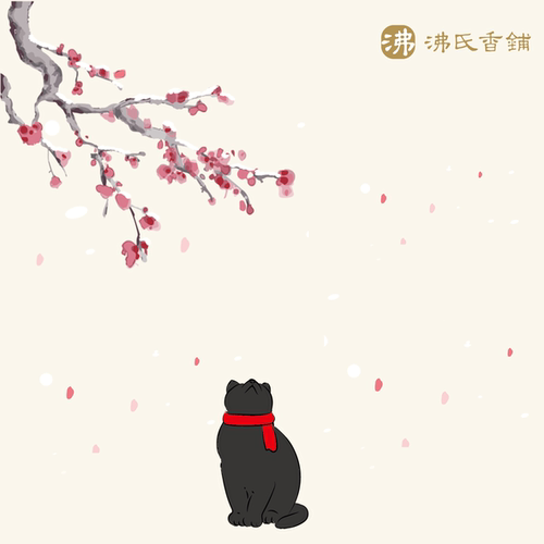 一元补差链接 拍前请咨询客服 - 封面