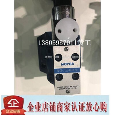 议价宁波华液HOYEA电磁止逆阀 AW-06-31.5b-A/D24-90