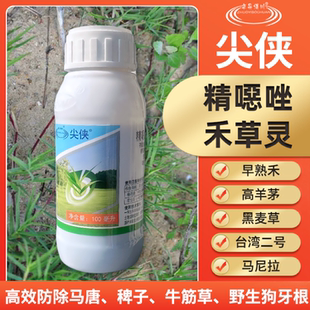 博川尖侠精噁唑禾草灵台湾二号马尼拉混播草坪一年生禾本科除草剂