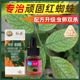国光施奇红杀阿维菌素月季 桂花柑橘红黄蜘蛛螨虫家用杀螨剂花虫药