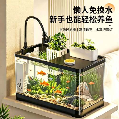 鱼缸客厅中小型生态金热带全套免