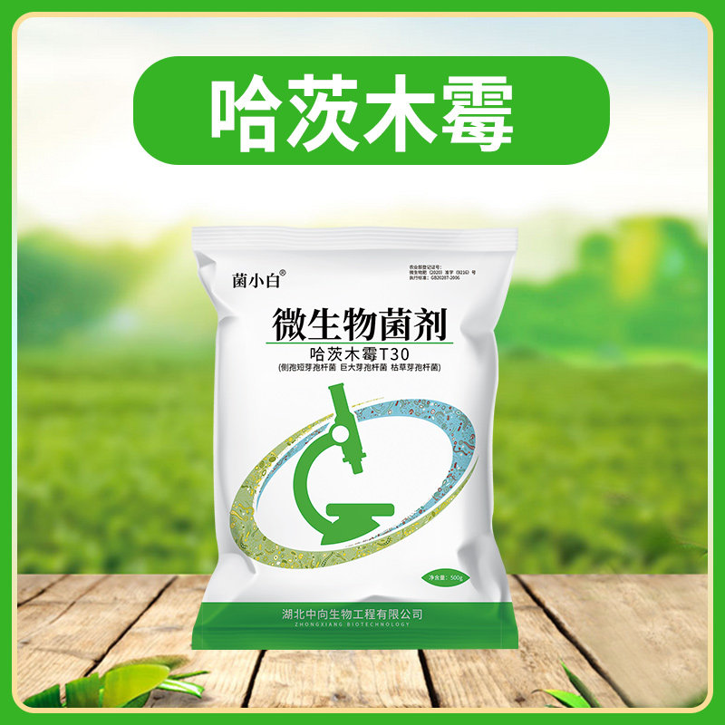 哈茨木霉菌微生物菌剂菌肥生根壮苗防控立枯病猝倒病根腐病500g