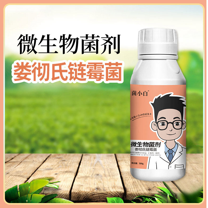 娄彻式霉菌农用微生物根腐病