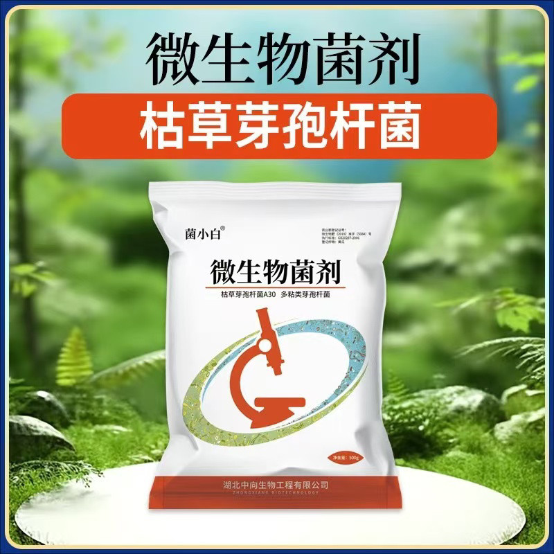 厂家直销枯草芽孢菌杆菌微生物菌肥有机肥微生物菌剂500g