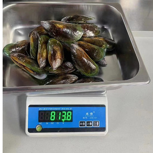 新西兰原装冷冻青口贝 新鲜绿壳全壳青口贻贝整箱10kg商用 西餐料