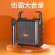 新科D65户外广场舞音响长续航蓝牙音箱户外k唱歌家用大音量低音炮