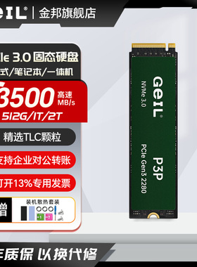 GEIL金邦P3P m.2固态硬盘512GB台式电脑笔记本1t 2tb高速SSDpcie3
