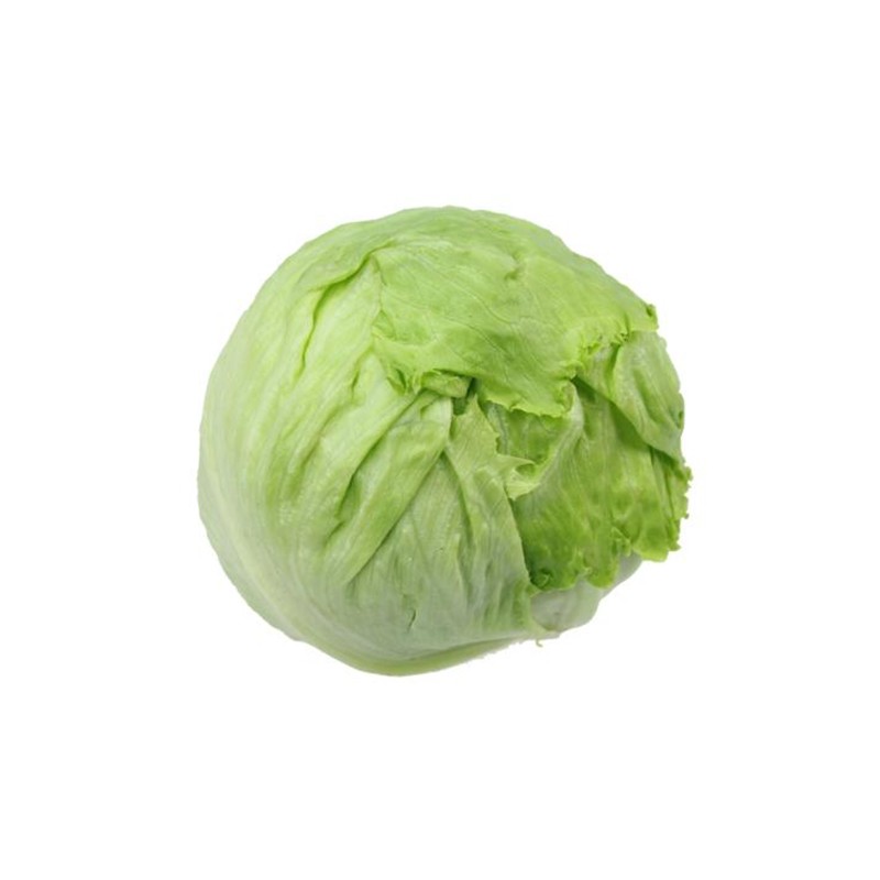 新鲜蔬菜球生菜 沙拉菜 圆生菜 西生菜净重4斤冷链包邮