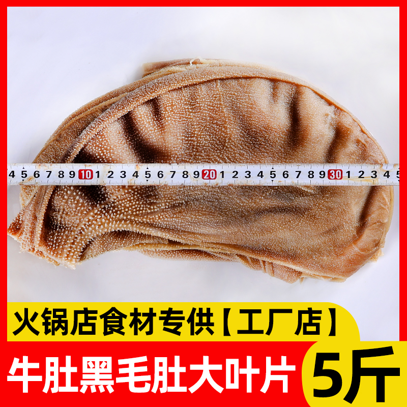 大叶片毛肚新鲜脆爽大刀毛肚