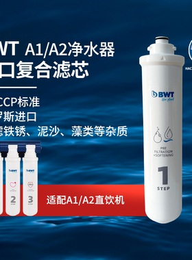 BWT倍世净水器滤芯俄罗斯进口适配BWUF-CN2000A1/A2超滤膜镁离子
