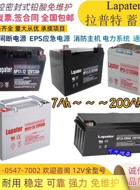 Lapater拉普特蓄电池NP100-12V17AH24AH38AH65AH100AH电源铅酸UPS