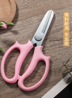 专用强力园林园艺修枝剪花艺剪鲜花剪花店专用修花卉剪刀花艺师剪