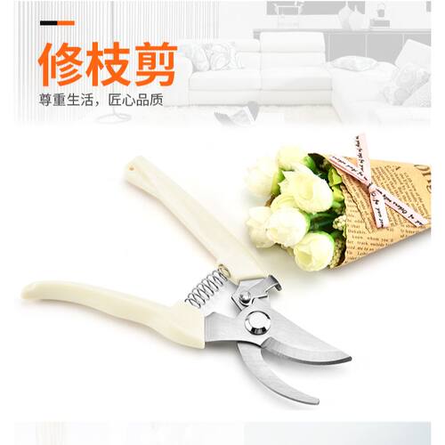 不锈钢树枝剪修枝剪摘水果花木剪 园林果树花枝嫁接园艺剪刀工具
