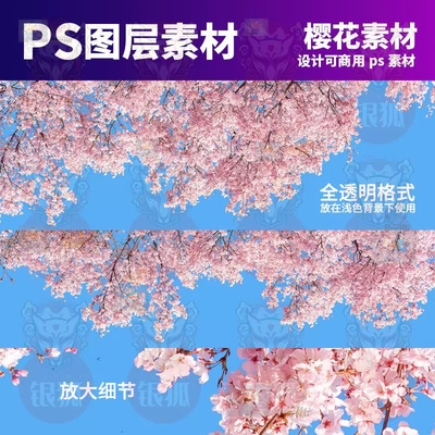 ps可商用樱花树枝影楼后期摄影素材支持procreate