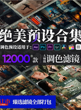 LR预设PS滤镜手机Lightroom达芬奇视频Lut调色FCPX剪映Camera Raw