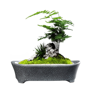 简约哥窑陶瓷花盆水仙无孔桌面碗莲荷花盆铜钱草绿植造景器皿家用